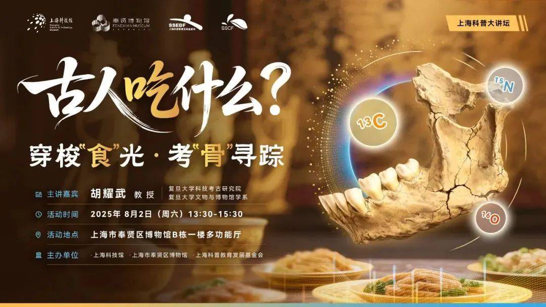 ：连台演出燃夏夜青溪老街烟火暖大唐雅韵入梦来CQ9电子平台网站与奉贤 “相约滨海之夏”(图12)